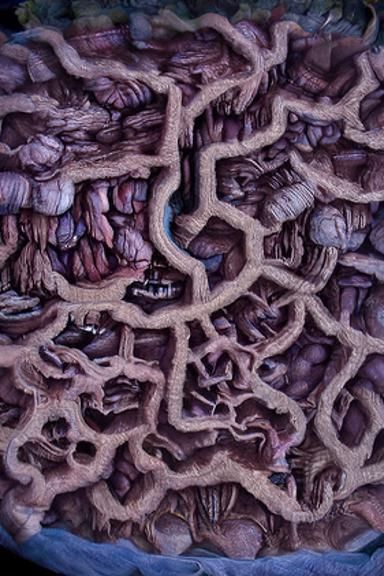 Detailed Map of an Underground Cave Kingdom