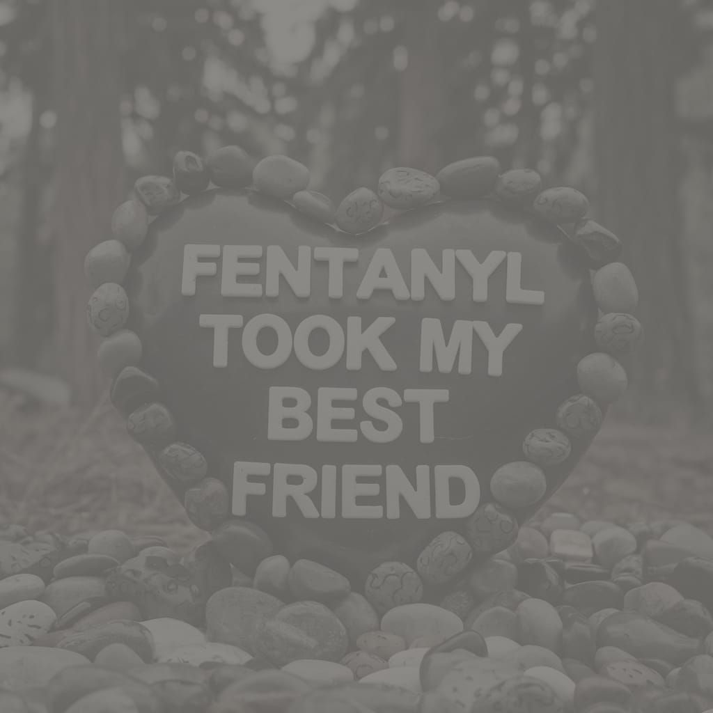 Memorial to Lost Friend: Stone Heart in Forest