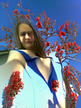 Dress with Red Tree Flowers on Blue Sky