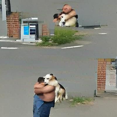 Affectionate Man Hugs Loyal Dog Companion