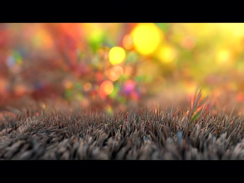 Fantasy Freedom in 8k Resolution