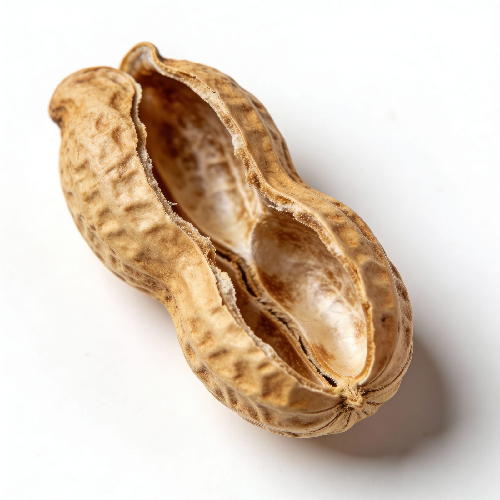Ultra-Realistic Peanut Shell on White Background