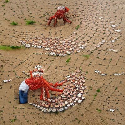 Surreal Man Made of Tiny Crabs