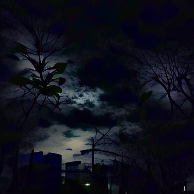 Abstract Rendering of a Moonless Night