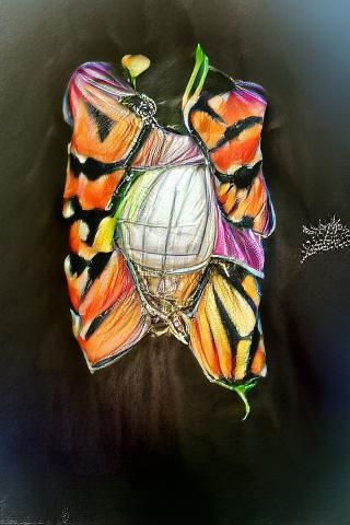 Monarch Butterfly on Green Leaf