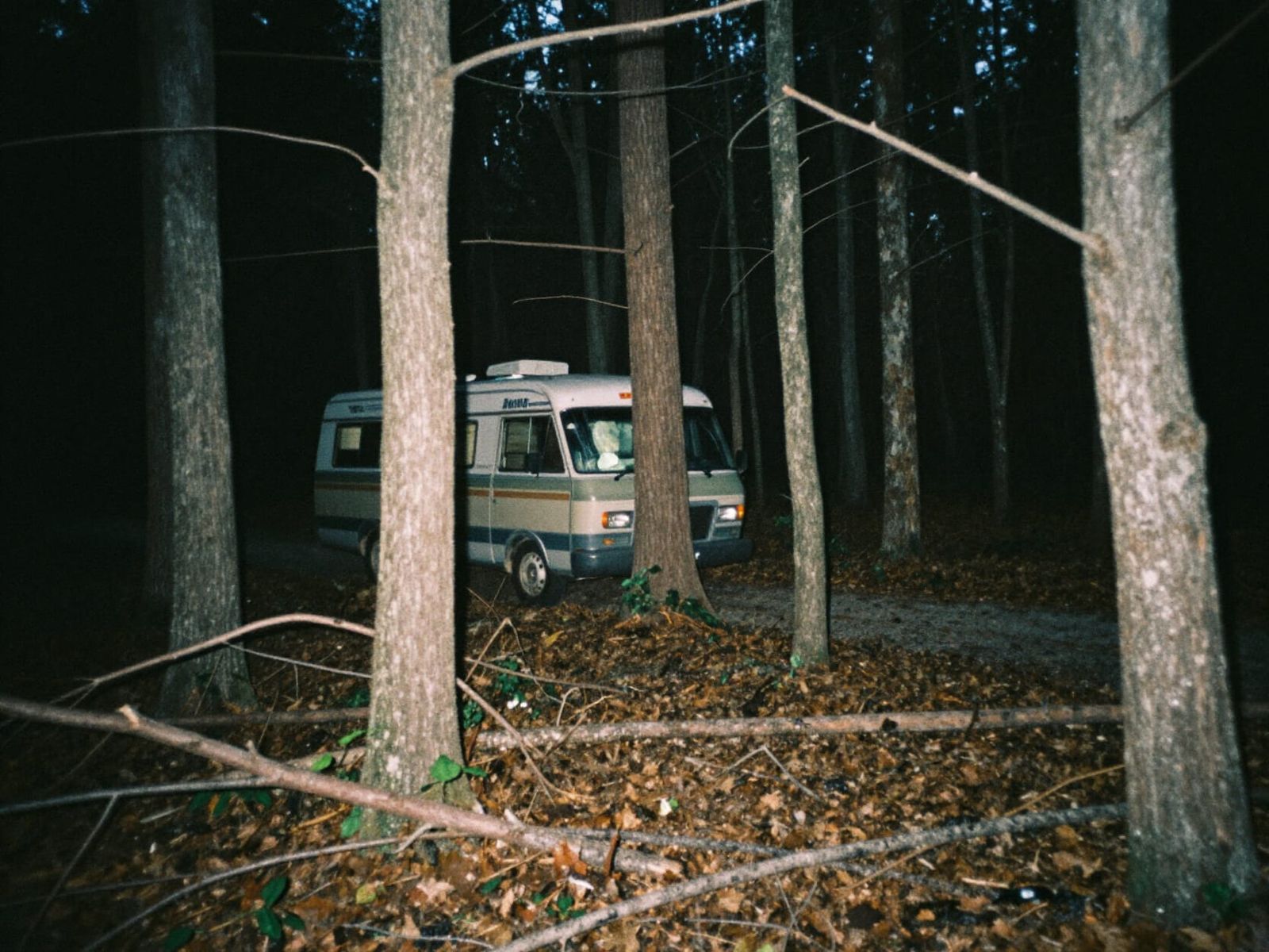 Unsettling Forest Scene with Hidden Winnebago