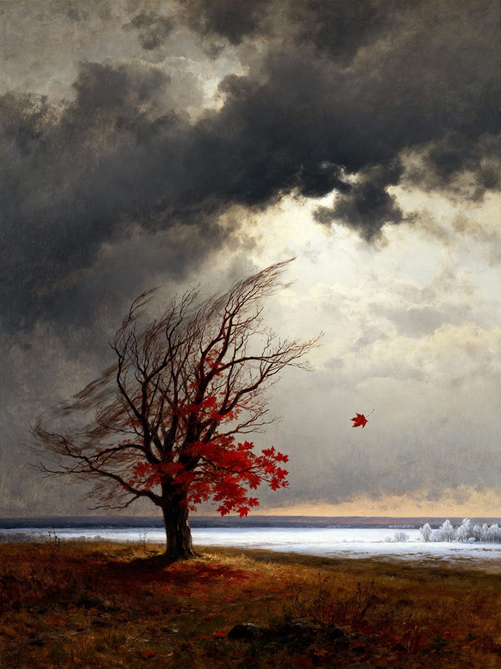 Solitary Red Maple Tree Loses Final Leaf to Autumn Wind