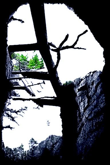 The Rock's Wood Escape Plan: A Cartoon Adventure