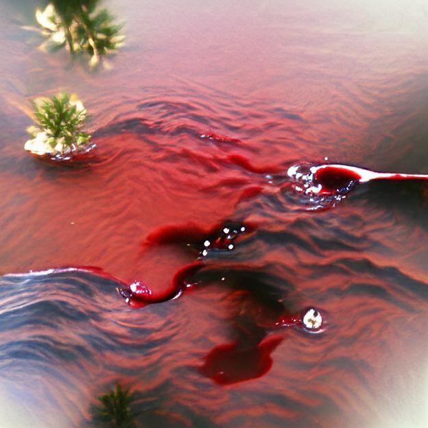 Blood in Water: Stark Visual Composition