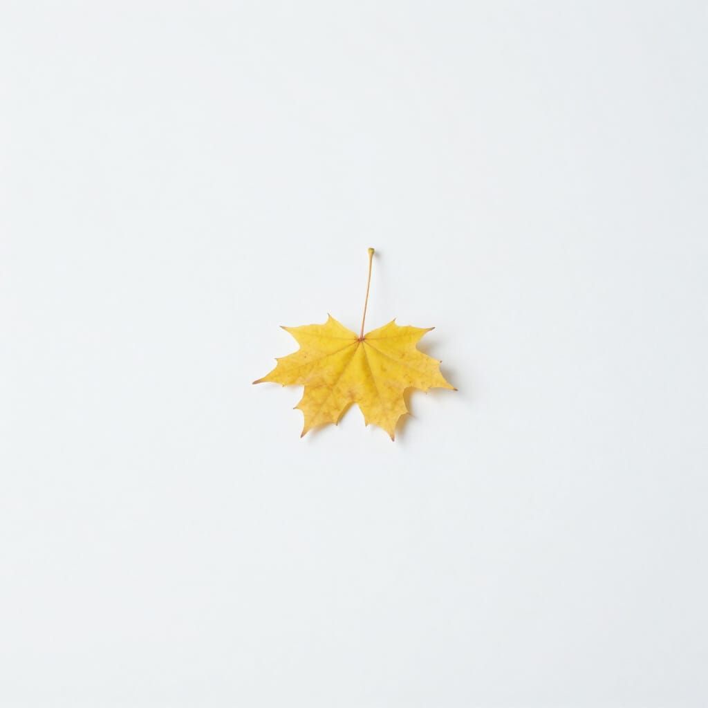 Solitary Yellow Leaf in High-Key Minimalist Photography