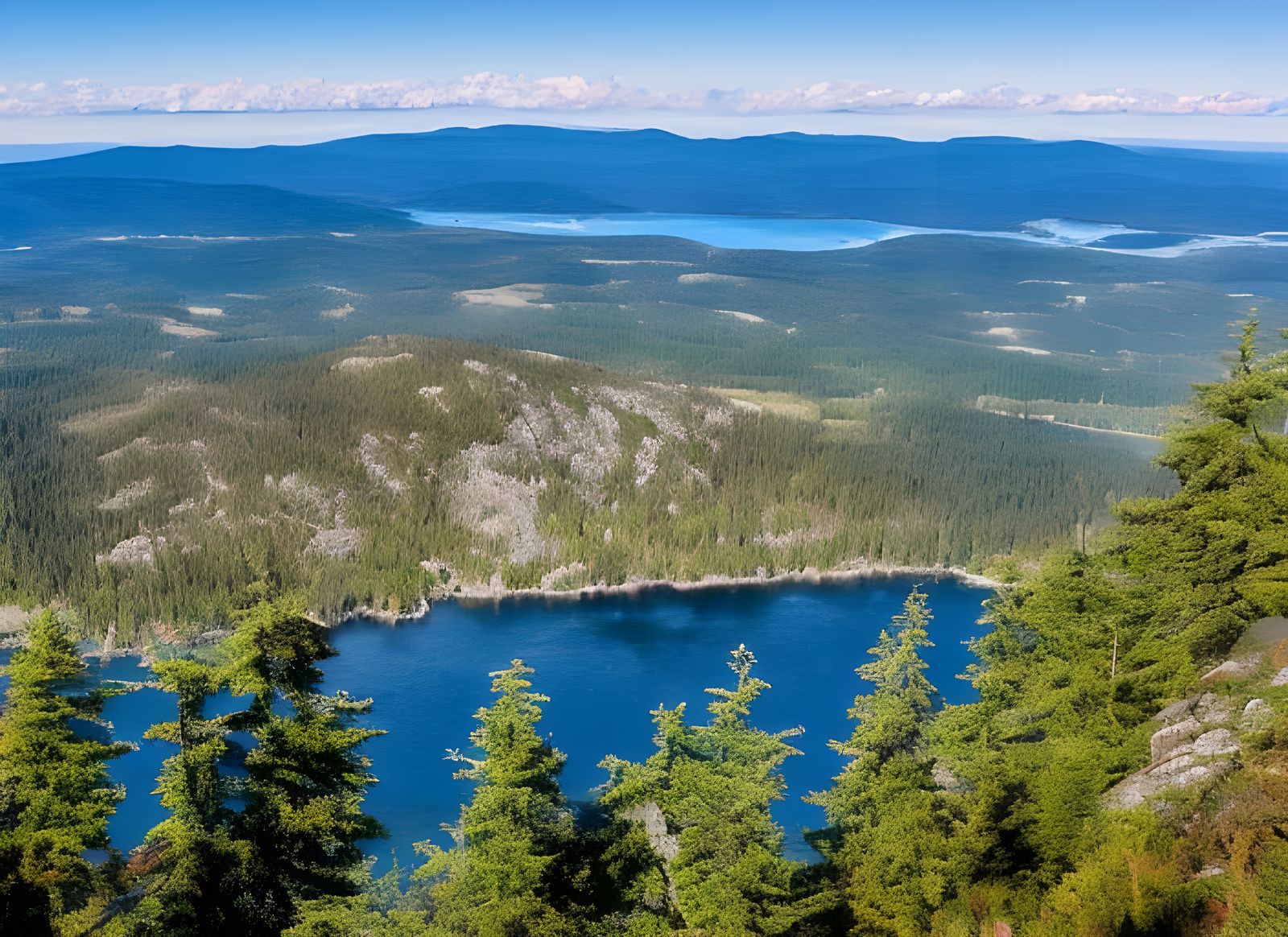Hyperrealist View from Mt. Constitution Painting