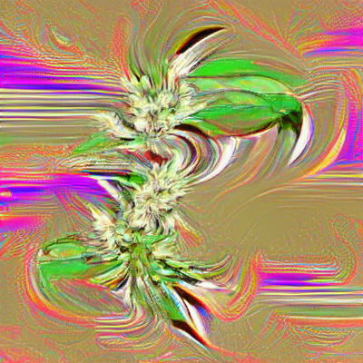 Marijuana Plant Illustration