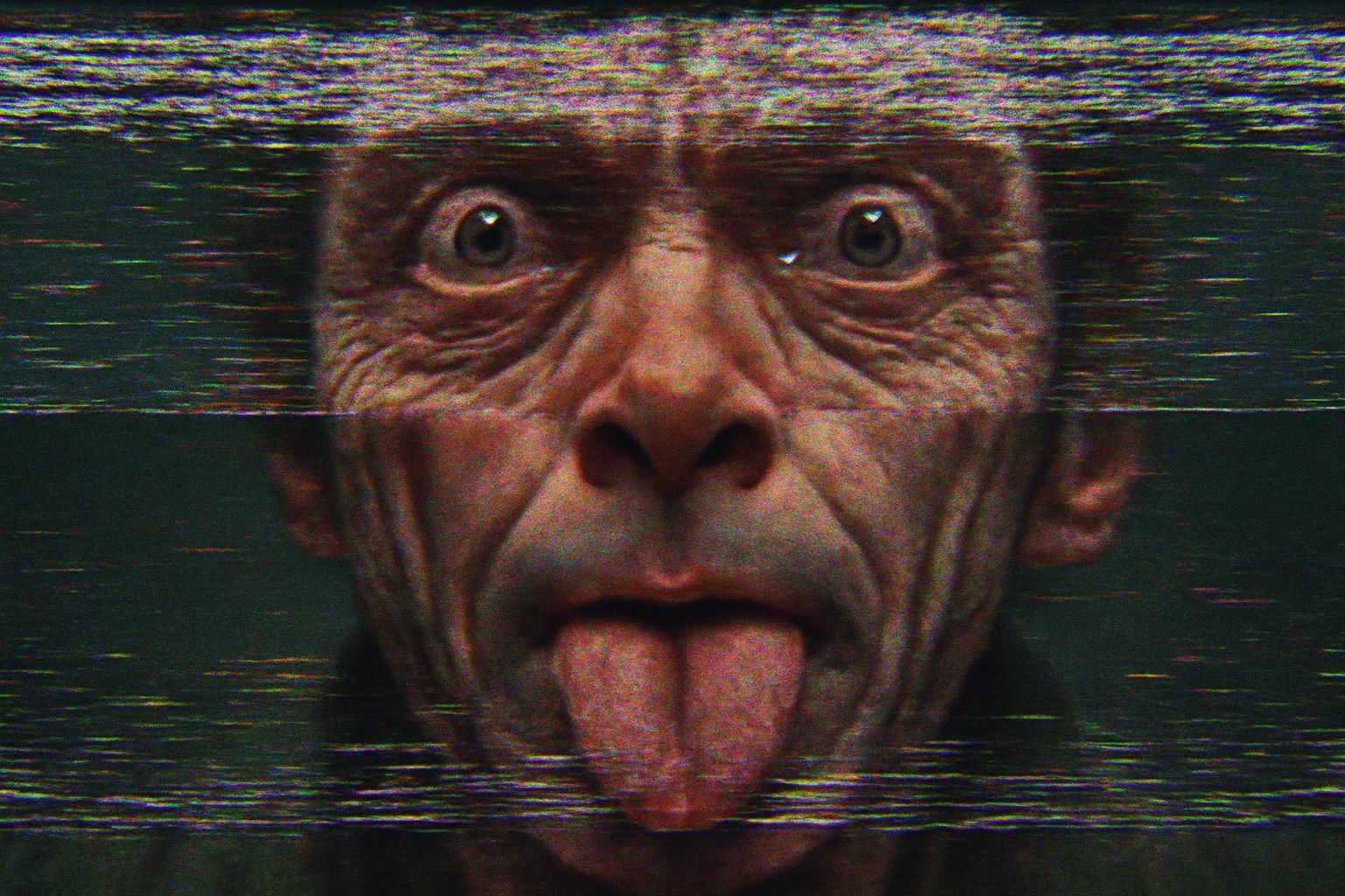 Organodigital Portrait