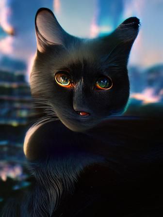 black cat matte painting
