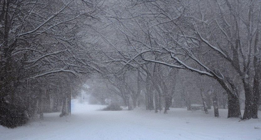 Opposite of Winter AI Image