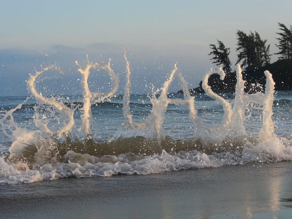 Ocean Wave Creates 'Splash' on Beach