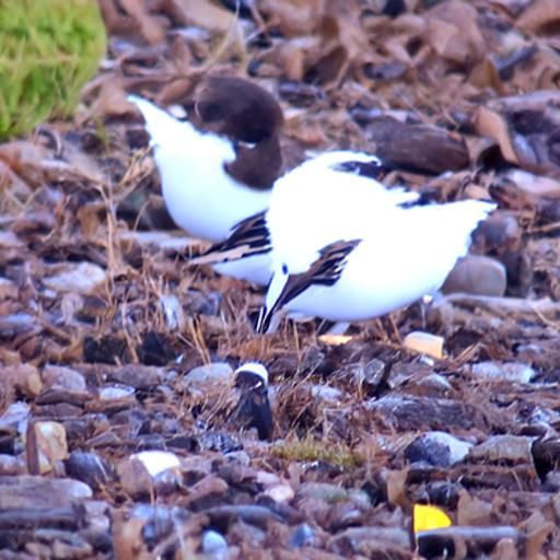 Abstract Concept: AI Interpretation of Existence