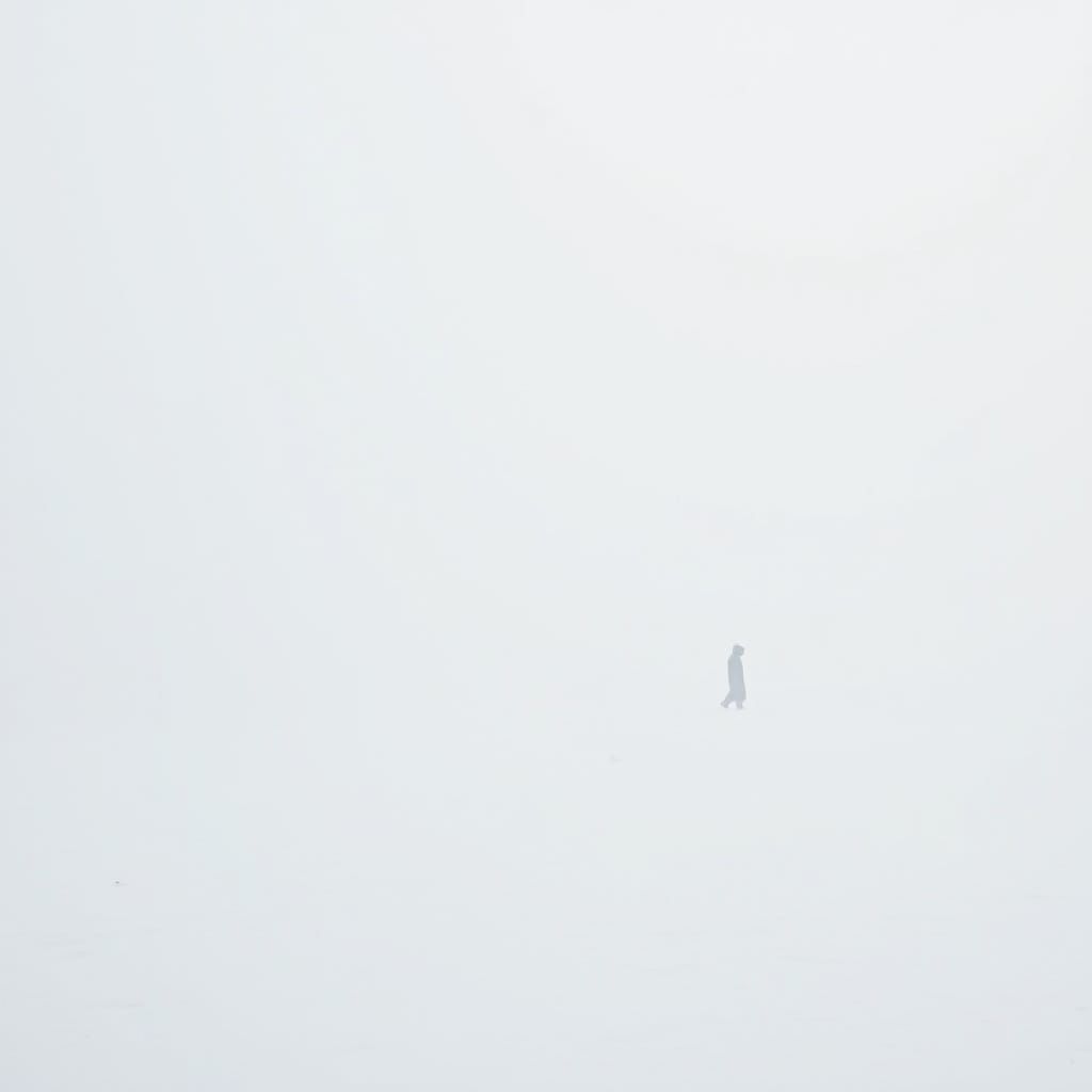 Contemplative Minimalist Landscape in Winter Hush