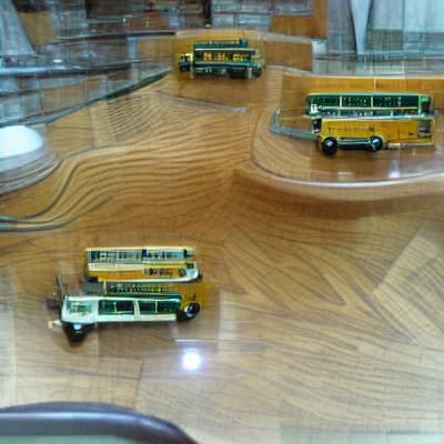 Detailed Model Bus Collection on Display