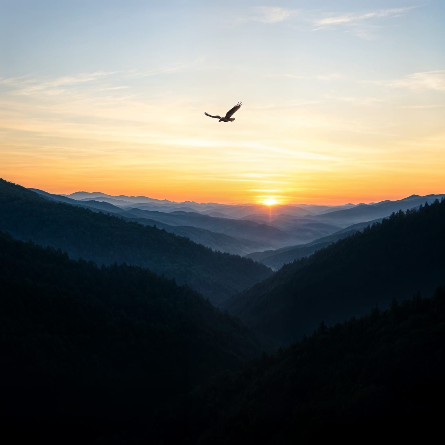 Bald Eagle Soars Above Appalachian Mist
