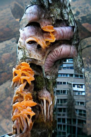 Surreal Fungal Skyscraper with Fleshy Branches