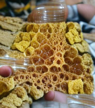 Detailed Honeycomb Structure