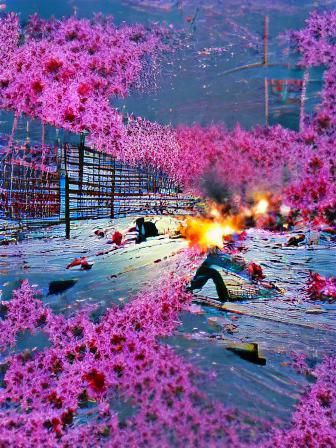 Beautiful Ultra Violence Image