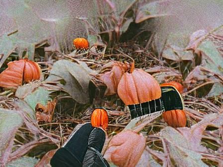 Dynamic Abstract Design with Fluid Shapes