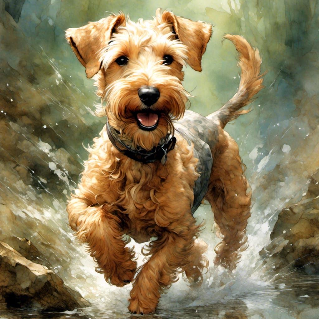Dynamic Black Lakeland Terrier in Motion