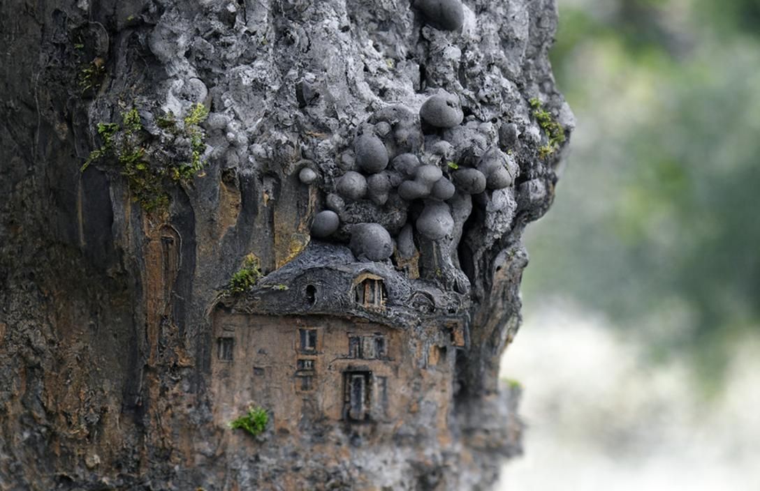 Fairytale Tree Manor with Baroque Architecture