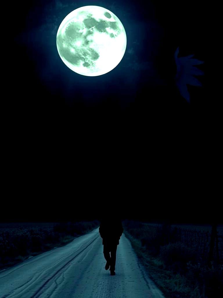 Rural Road Under Boreal Moonlight
