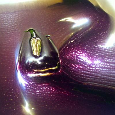 Shiny Aubergine Still Life