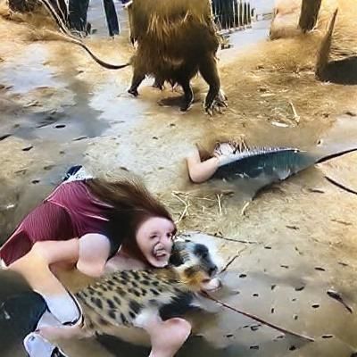 Terrifying Animal Attack Scene
