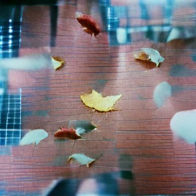 Autumn Leaves