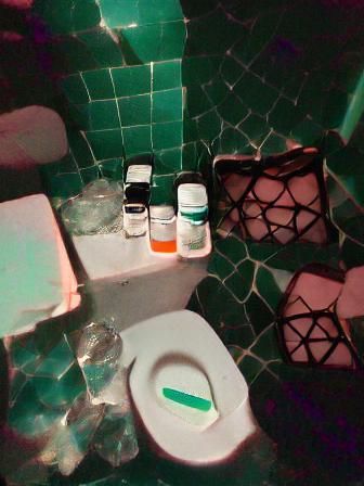 Overdosing on Fentanyl in Bossa Nova Bathroom