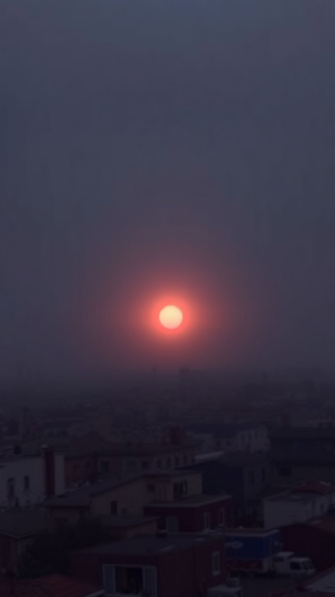 Abstract Portrait with Timelapse Structures