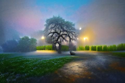 Ethereal Dusk: Shady Tree in Foggy Landscape