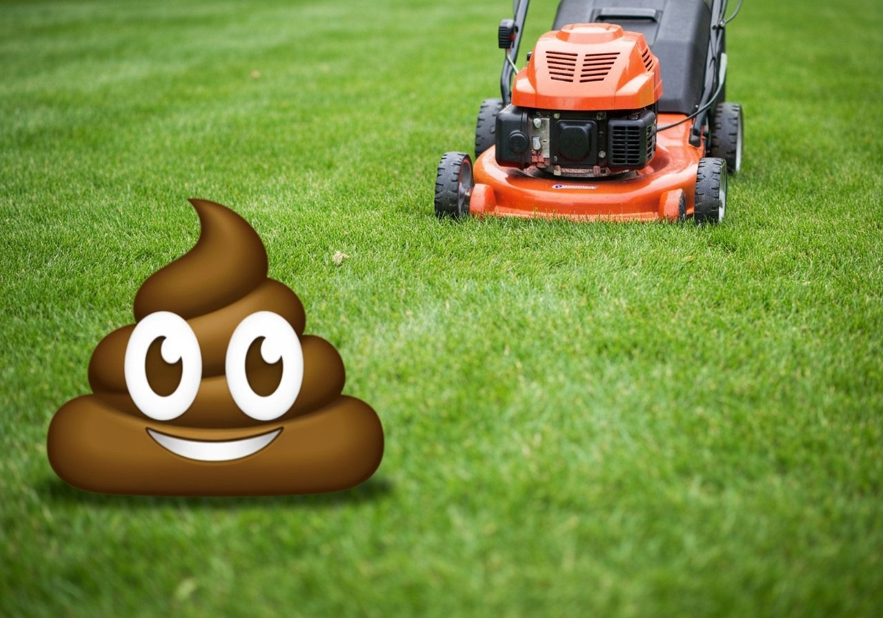 Lawnmower Approaches Poop Emoji on Grass