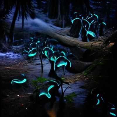 Enchanting Bioluminescent Forest at Night