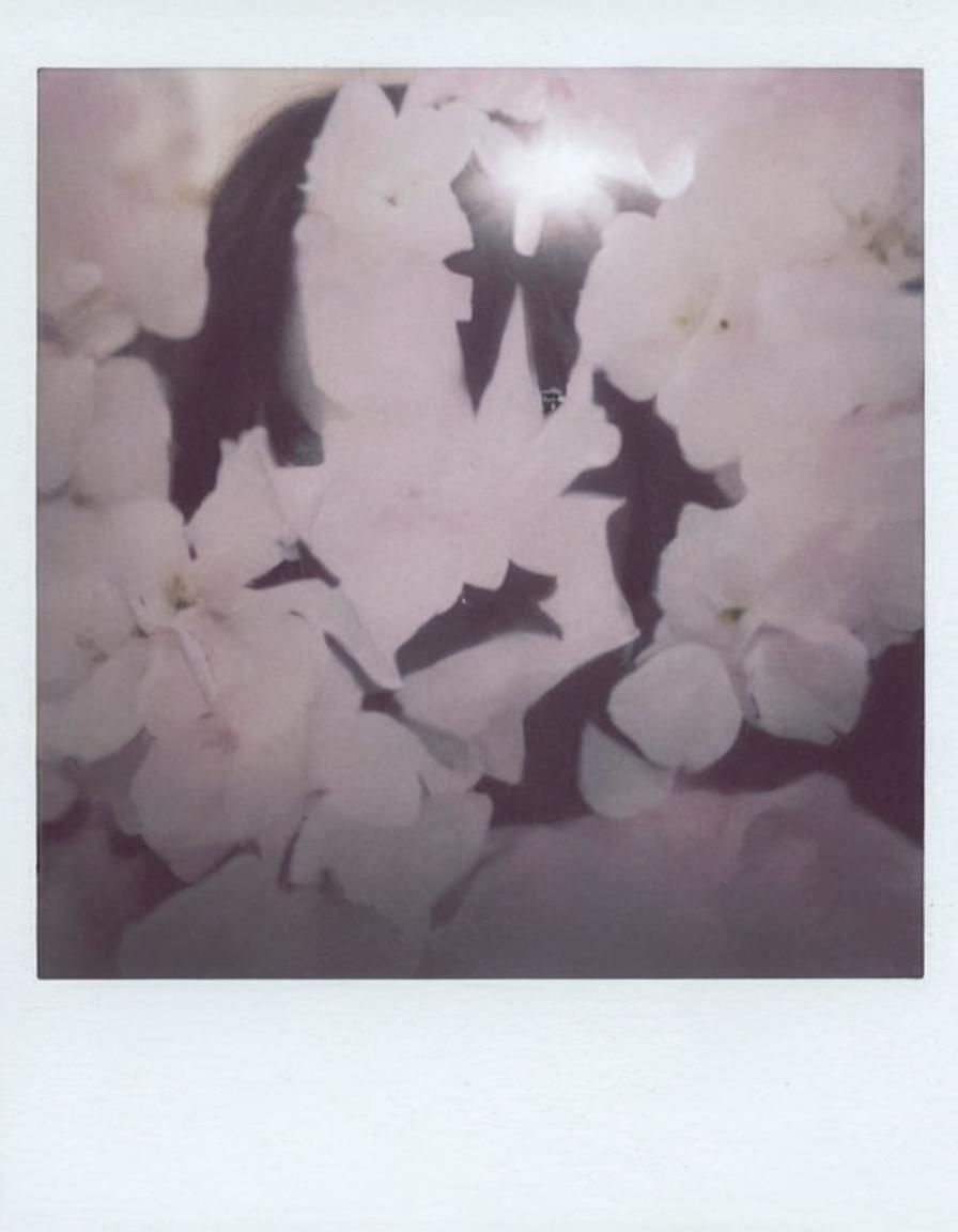 Japanese Girl in Pink Flowers: Soft Focus Portrait