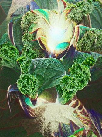 Technorganic Fusion: Digital Art Creation