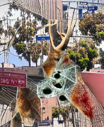 Urban Landscape of Hidden Dangers