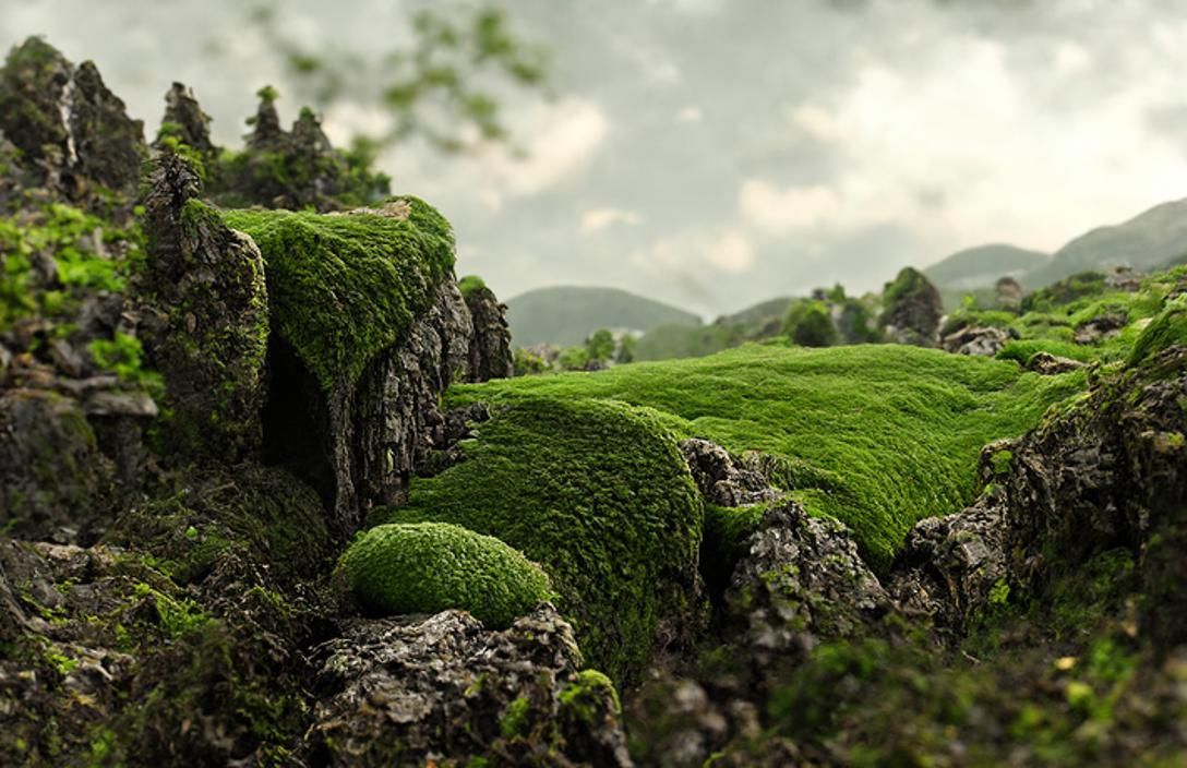 Enchanted Rolling Hills with Mossy Stone Walls