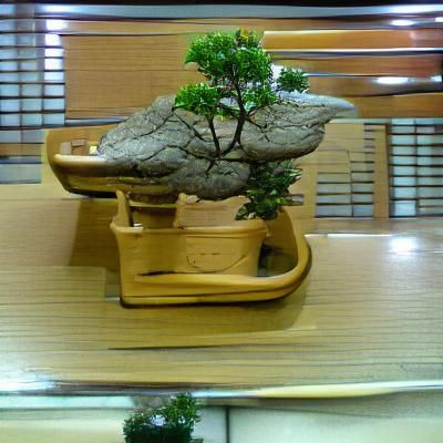 Exquisite Bonsai Tree Art