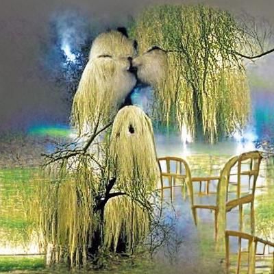 Ghosts Share a Kiss Beneath Willow Tree