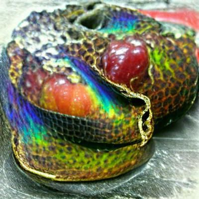 Rainbow Snakeskin Pearlescent Fruit Still Life