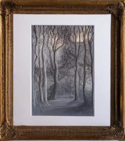 Mortality Reflection: A Digital Art Meditation