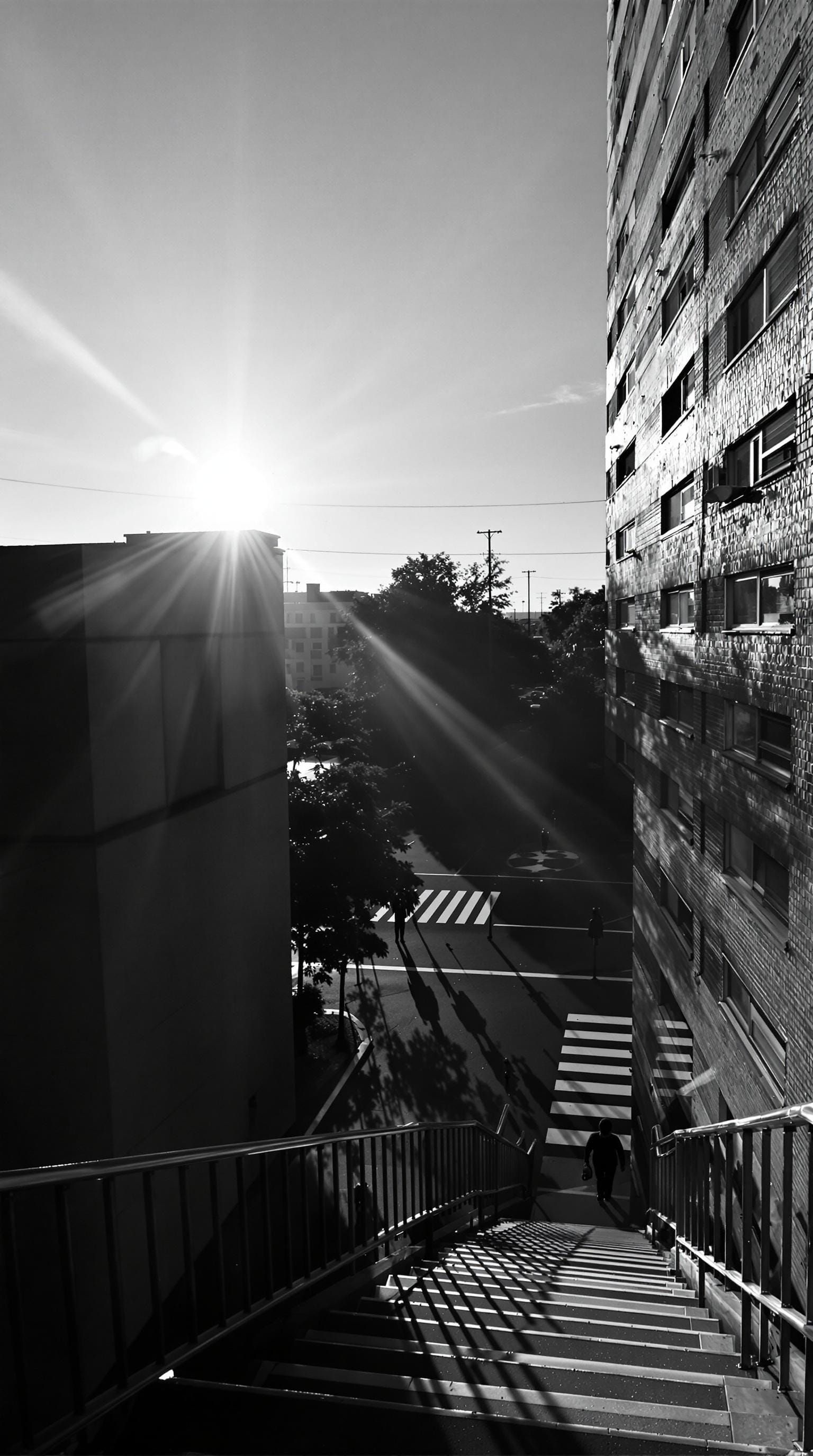 Monochromatic Cityscape with Guiding Staircase