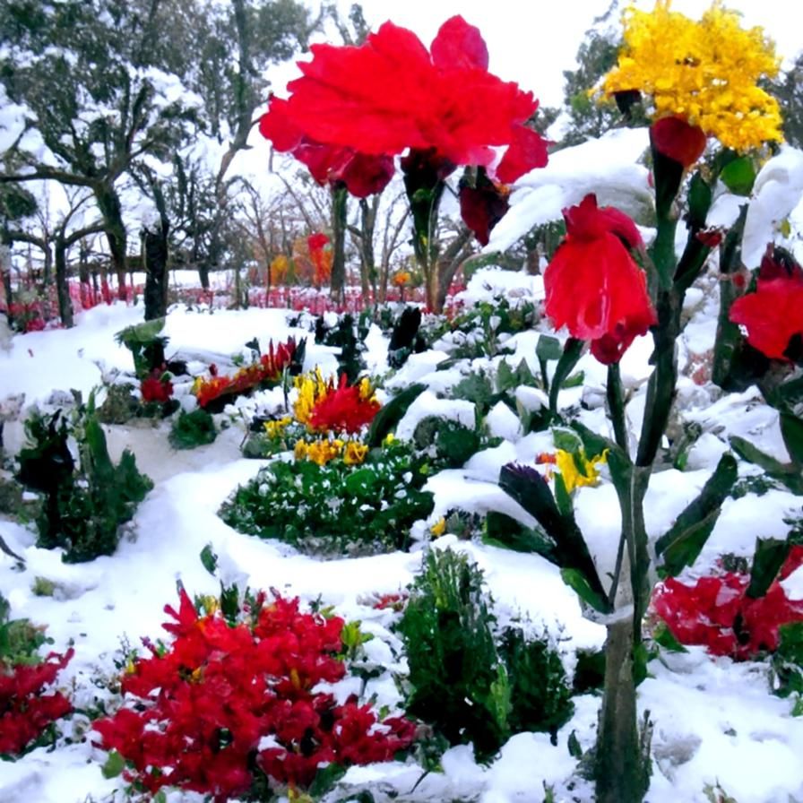 Winter Flower Garden in Bloom
