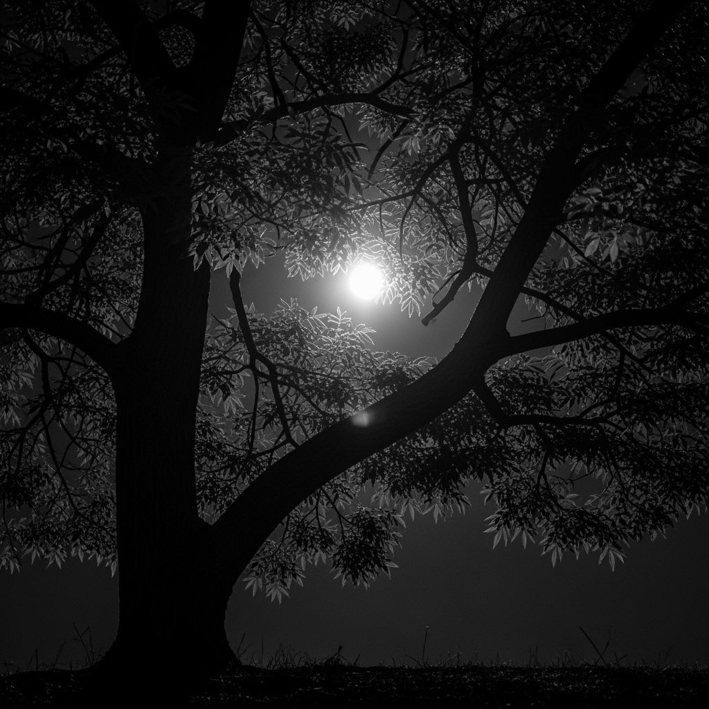 Photorealistic Full Moon Through Silhouetted Branches
